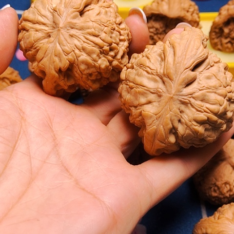 吊坠文玩核桃用****5龙鼎