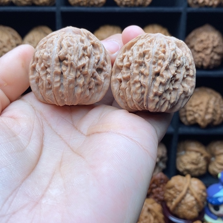 零***壹吊坠龙脊菩提40尺全品