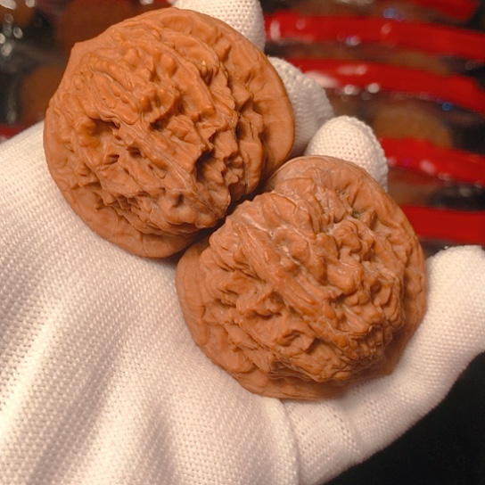 把件文玩核桃至尊虎42