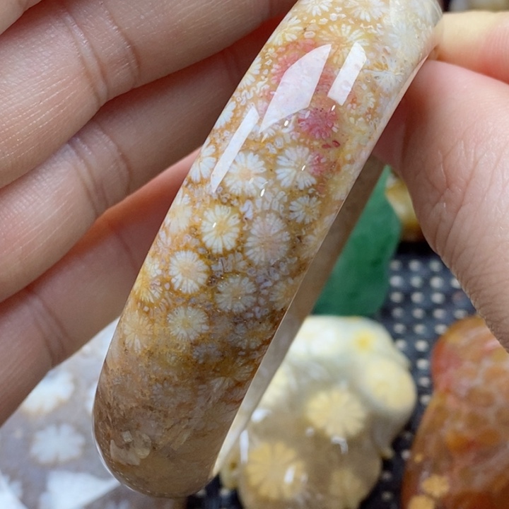 硅化珊瑚（珊瑚玉）颈饰未镶嵌