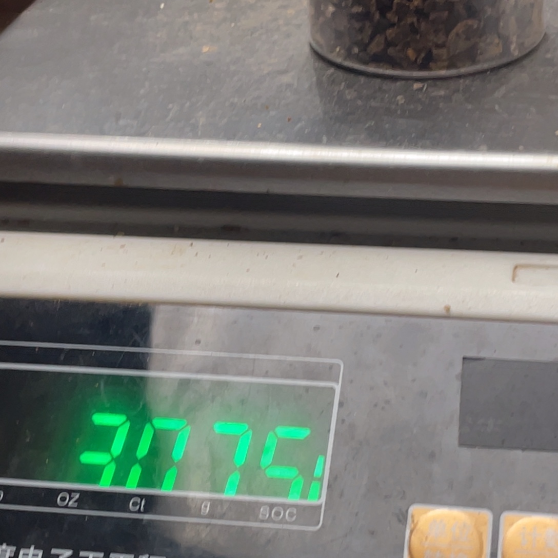 楠木绿棋沉水碎料