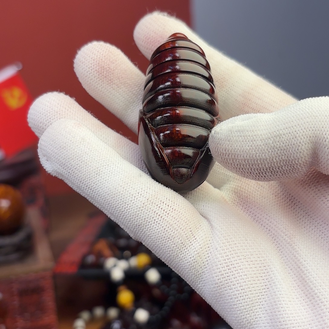 檀香紫檀（小叶紫檀）蛹