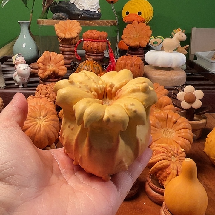 墨西哥葫芦双色钱袋