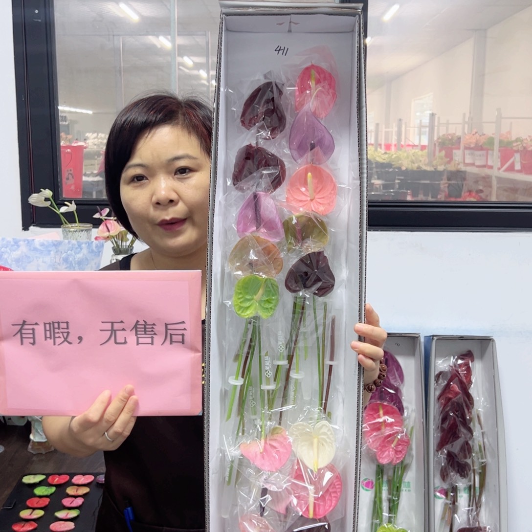 完全开放混色-20枝装无售后款411
