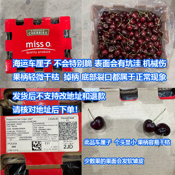 【看链接主图说明再下单】智利海运  波尔卡2J 车厘子（内附果径卡） 