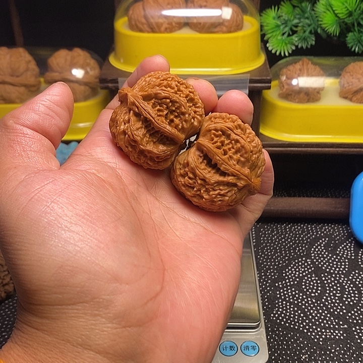 张***饽文玩核桃吊坠白狮子半壁43有修