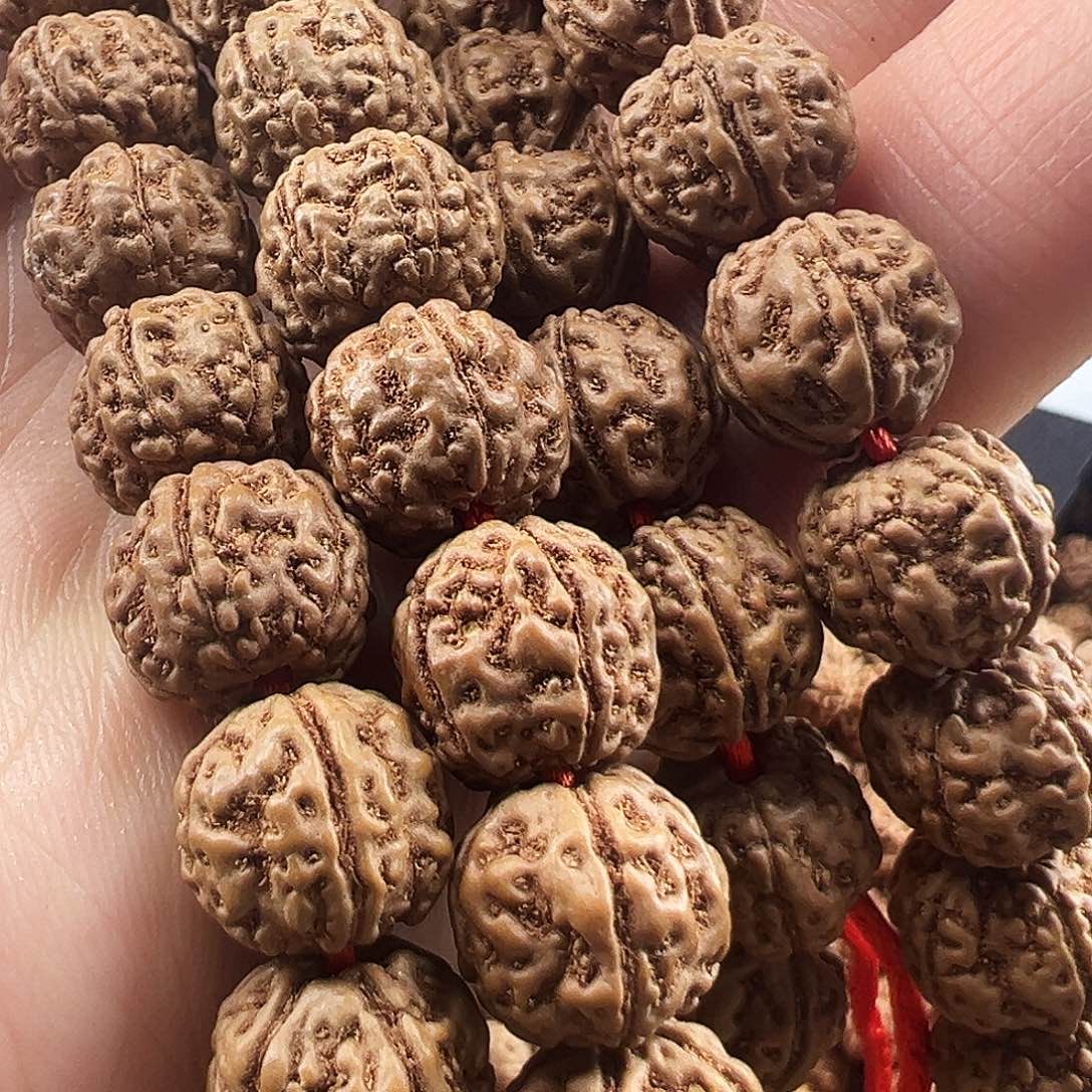 金刚菩提吊坠高桩盘龙11m，114