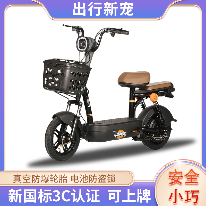 长续航可上牌电动车新国标电动自行车男女代步车电单车