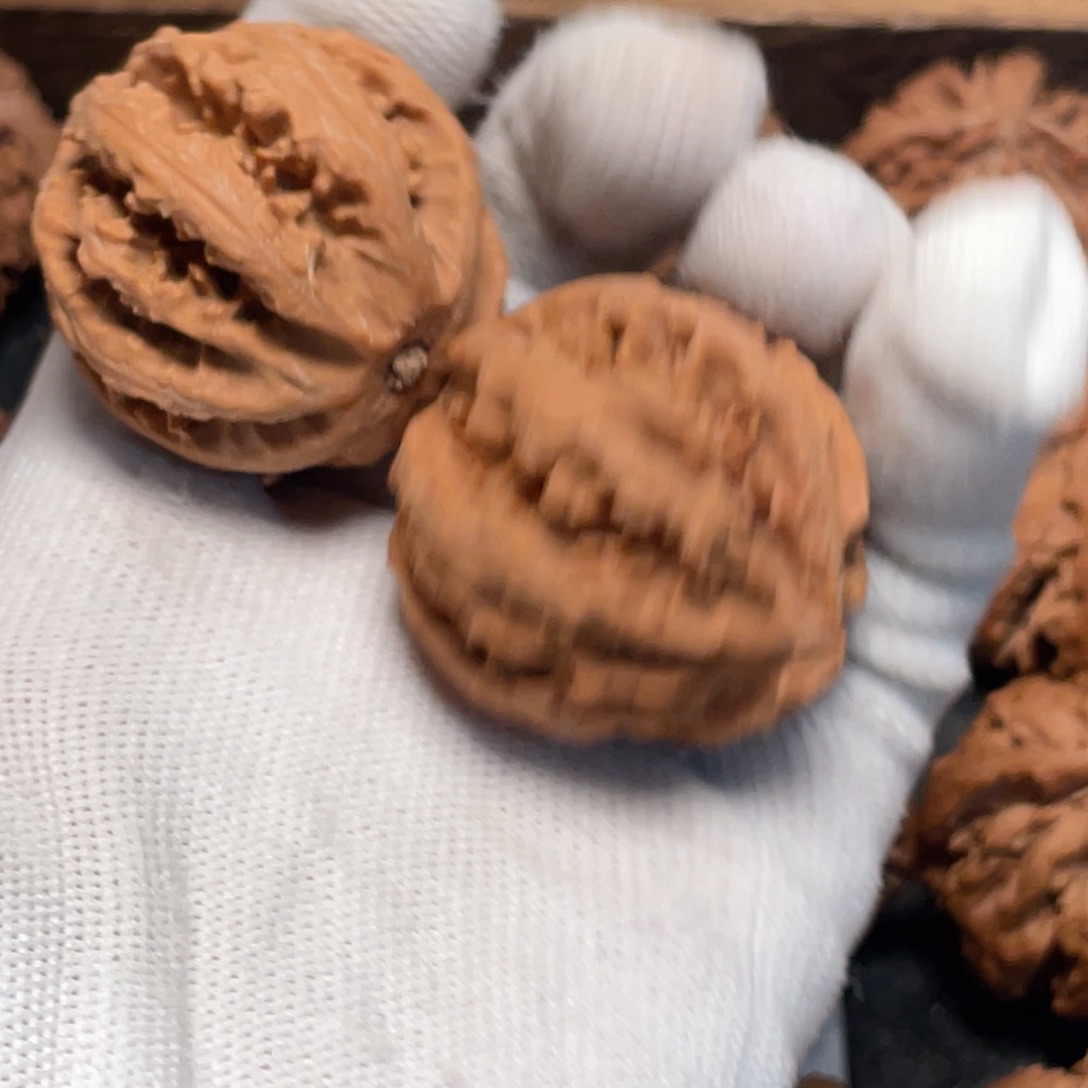 桃核吊坠3秦岭灯笼野生小众