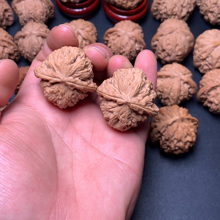 文玩核桃把件37白狮子22