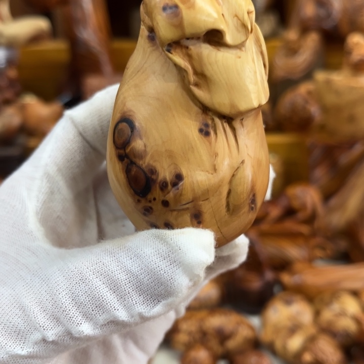 柏木（崖柏）太行崖柏瘤花