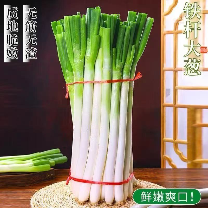 新鲜现挖铁杆大葱去叶去皮切半叶可生吃蘸酱