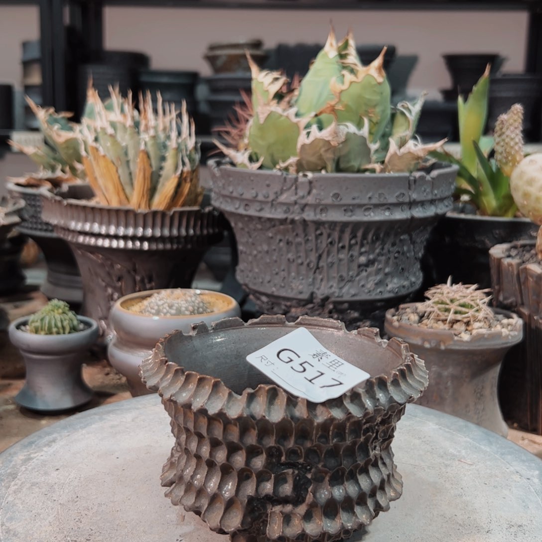 景德镇手工素里内口10.5高8