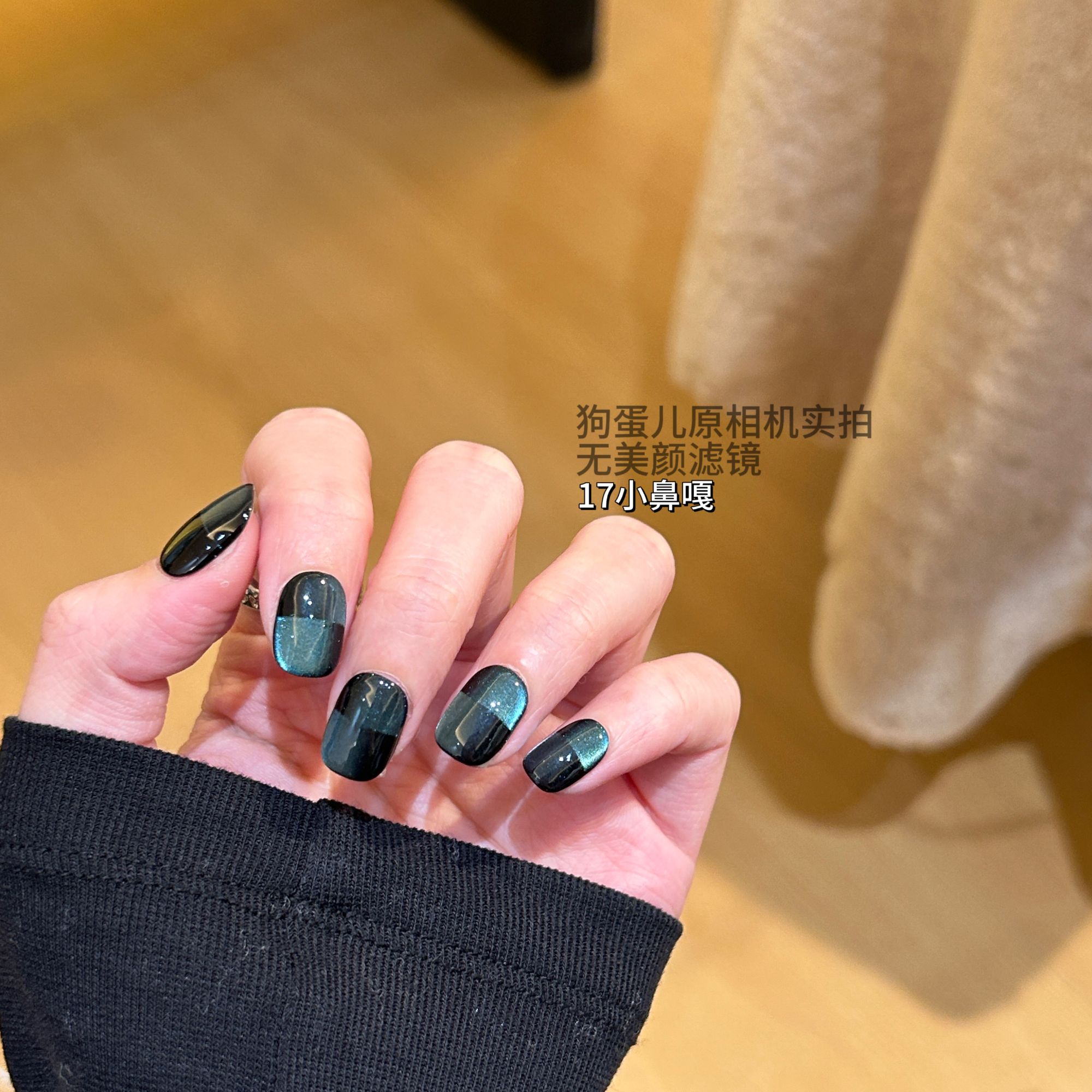 【不吃香菜·狗蛋儿】纯手工穿戴甲 猫眼 平行空间法式