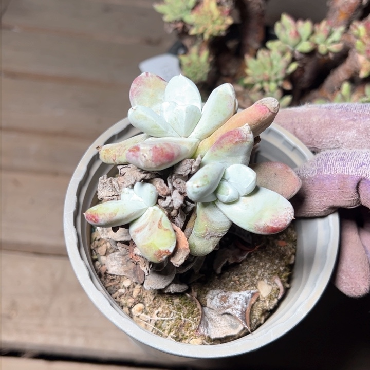 1326哈哈哈哈哈哈哈