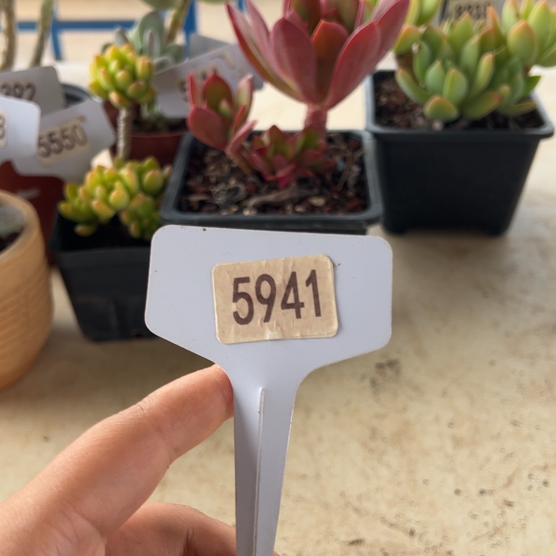【闪购商品】一****i寄养发货。 5941。 1111111