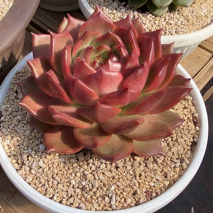 㞢***&福利大漏韩版9             