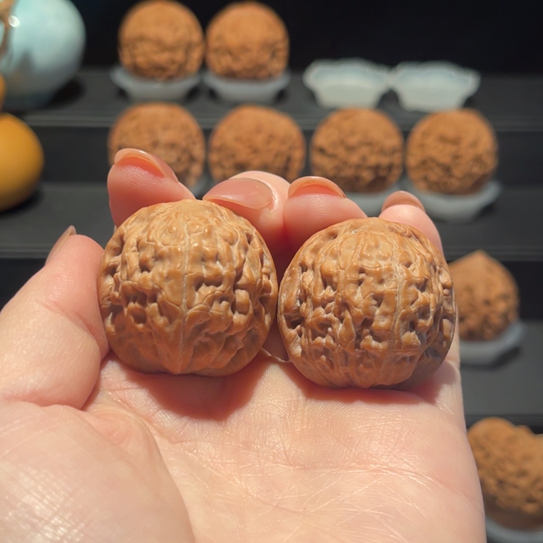 野生，小莲花31精品，全品498