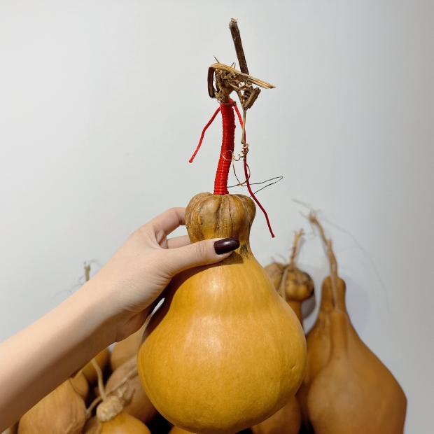 各种葫芦 原皮 花皮