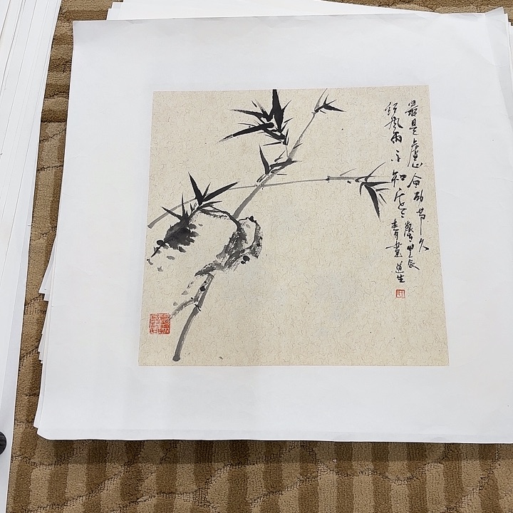 国画花鸟的翅膀和翅膀是35.35