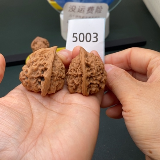 把件文玩核桃蛇头5003