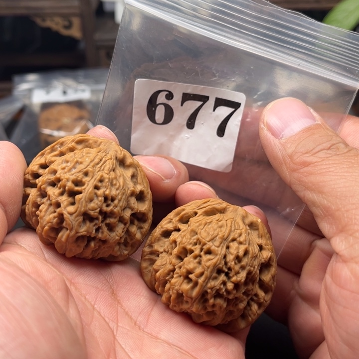 核桃43全品南疆石