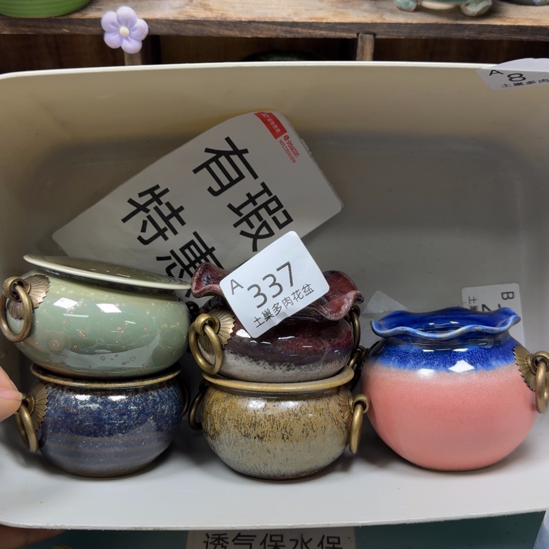 星****陶瓷艺术品设计与制作