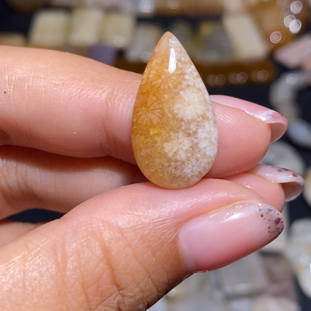 【闪购商品】硅化玉珊瑚玉未镶嵌