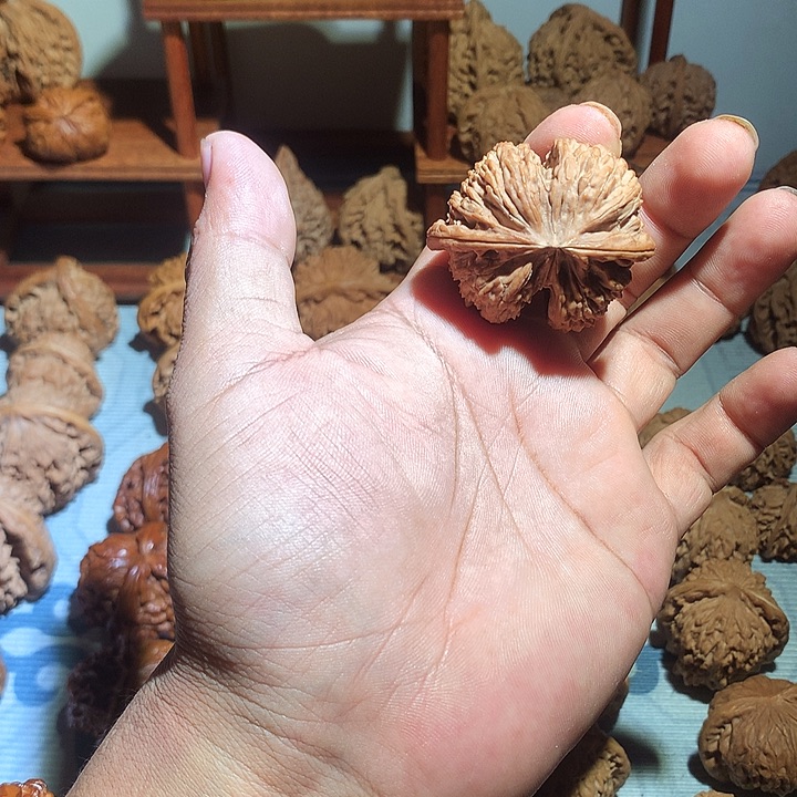 把件文玩核桃白狮子连体