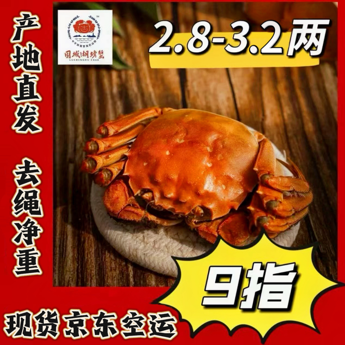 【活蟹现货】九指固城湖大闸蟹母㍚8-㍜0两  8只