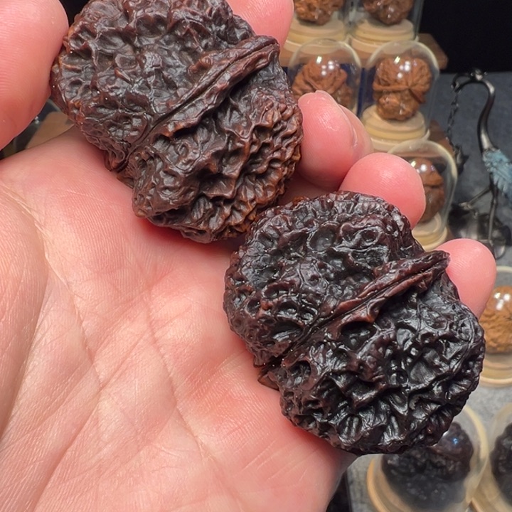 文玩核桃把件苍山神鹰47mm