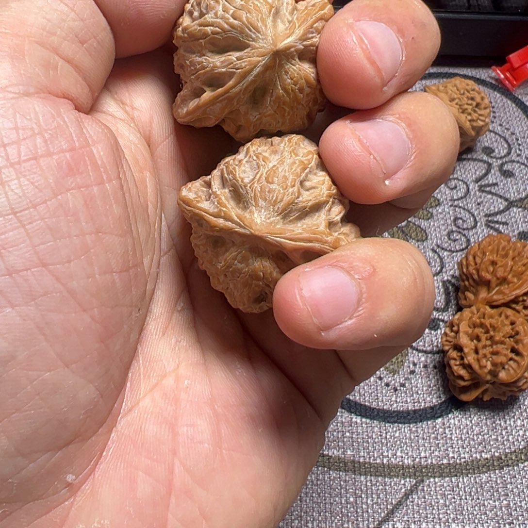 洛***。龙脊菩提吊坠秦公子