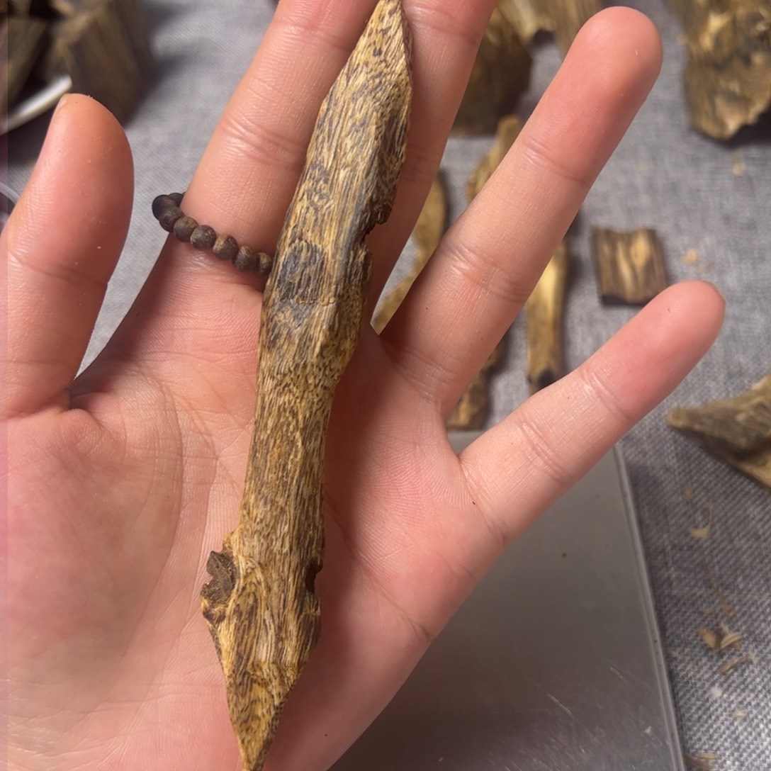 沉香沉香碎屑虫漏