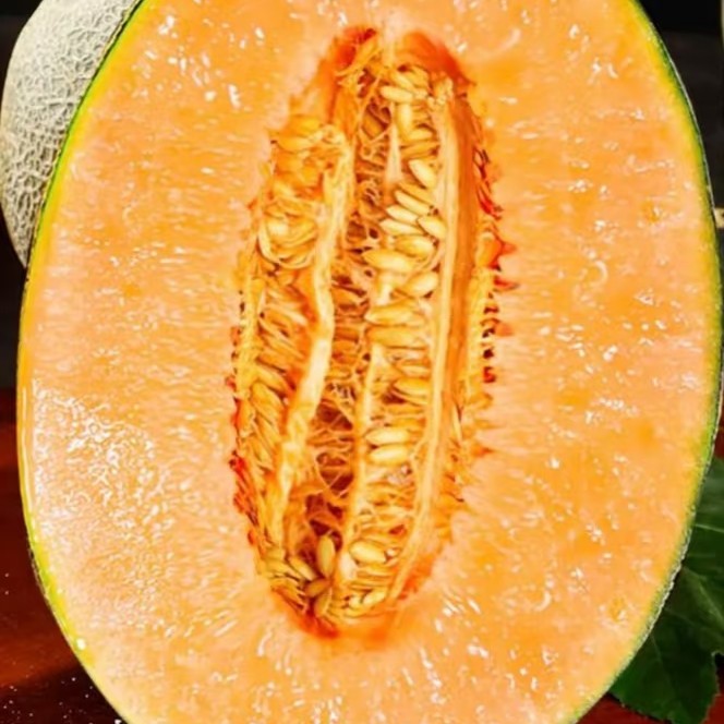 新疆哈密瓜
