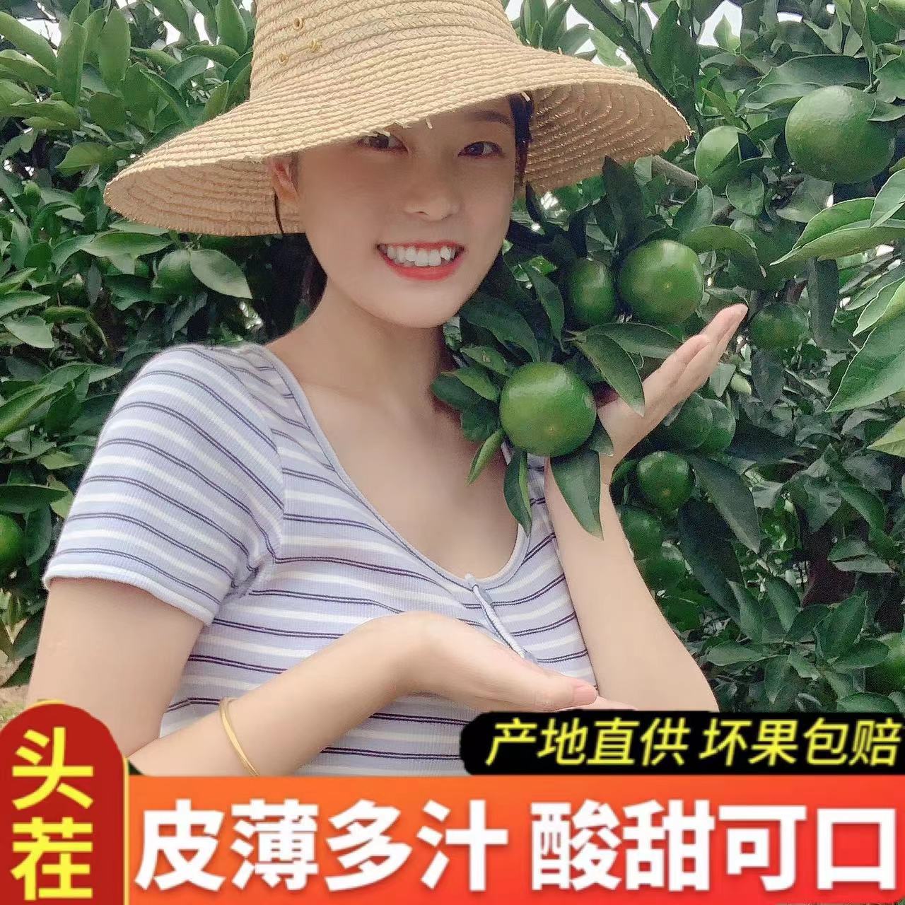 湖北宜昌特早青皮蜜橘薄皮橘子孕妇新鲜水果酸甜可口