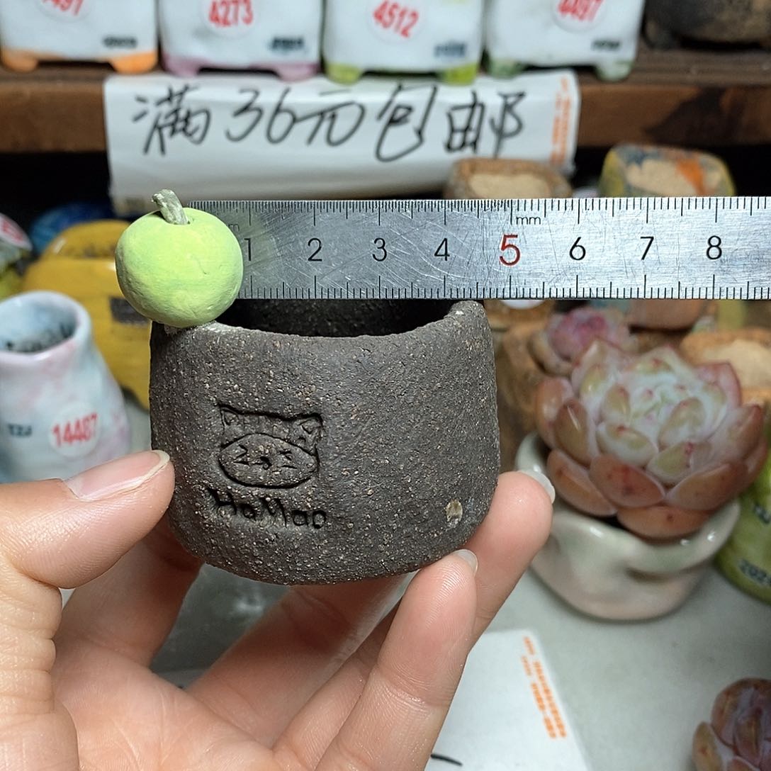 红陶拍5送一个小