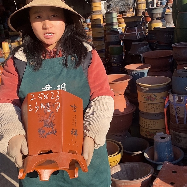 紫砂花盆盆栽花卉苗木种植