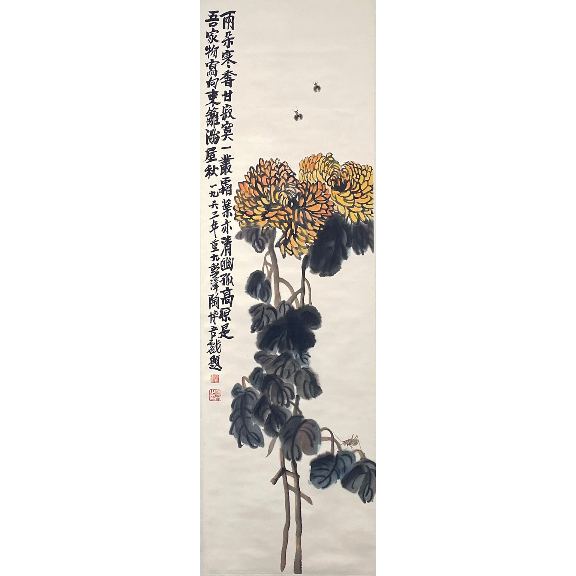 陶 博 吾——菊花  