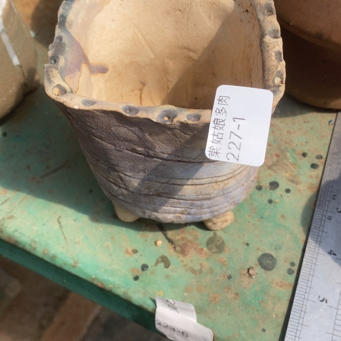 红陶爱****妞1号多肉花盆一个