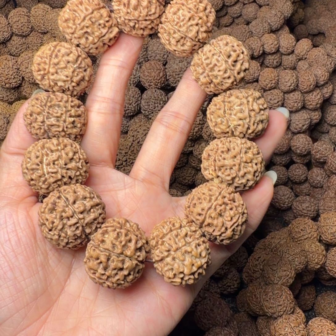 金刚菩提手串8瓣卡27尺，29号