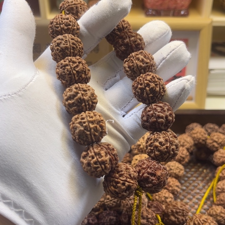 金刚菩提手串古龙梅花双龙原生态六瓣