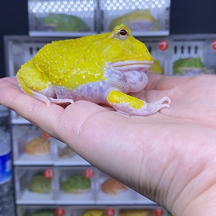 特价秒杀现货特价瑕疵