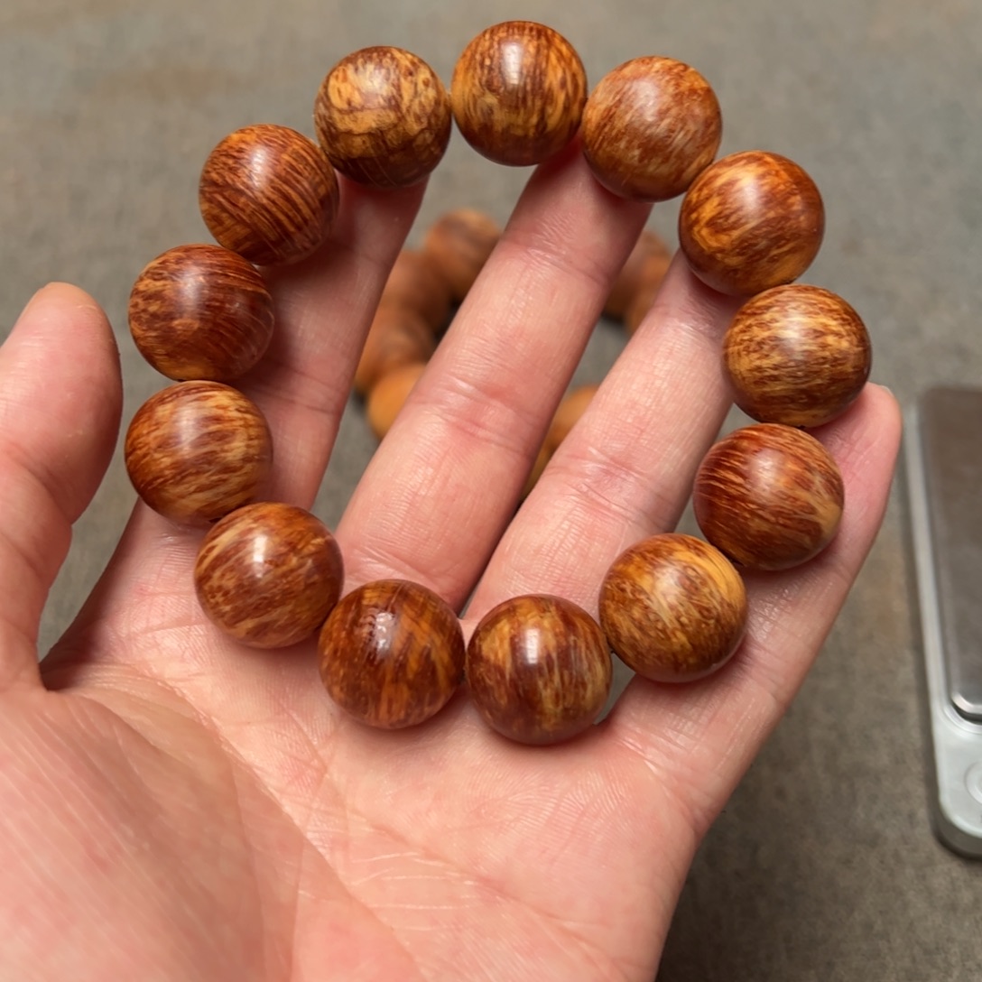 我***火柏木（崖柏）北太行陈化崖柏