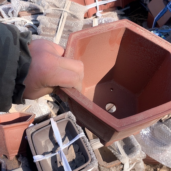 紫砂我要努力做自己喜欢的事情