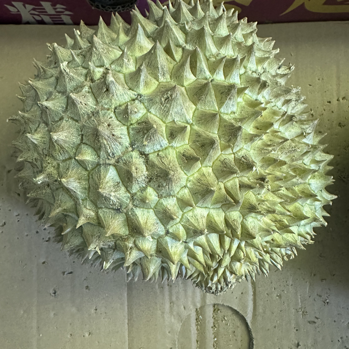 泰国金枕树上熟鲜榴莲/核小/2390克金枕泰国