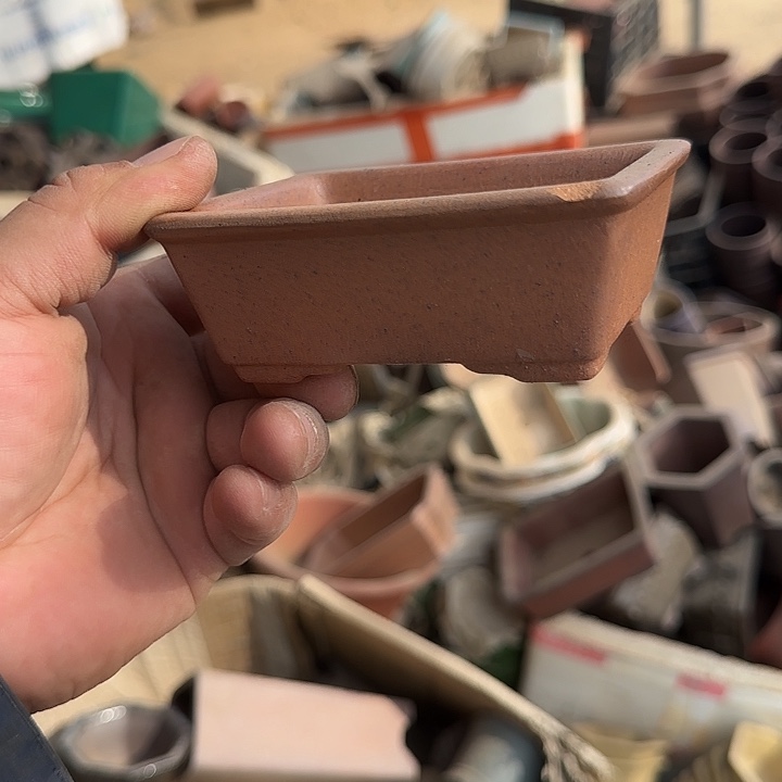 是一个不知名作家与著名导演兼电影演员们之间互相