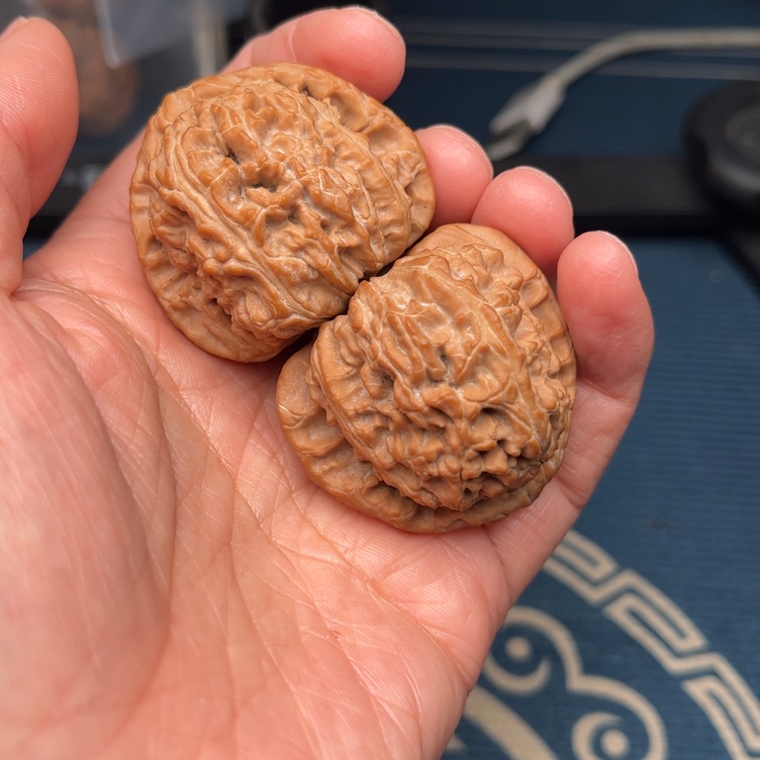 文玩核桃把件三角白