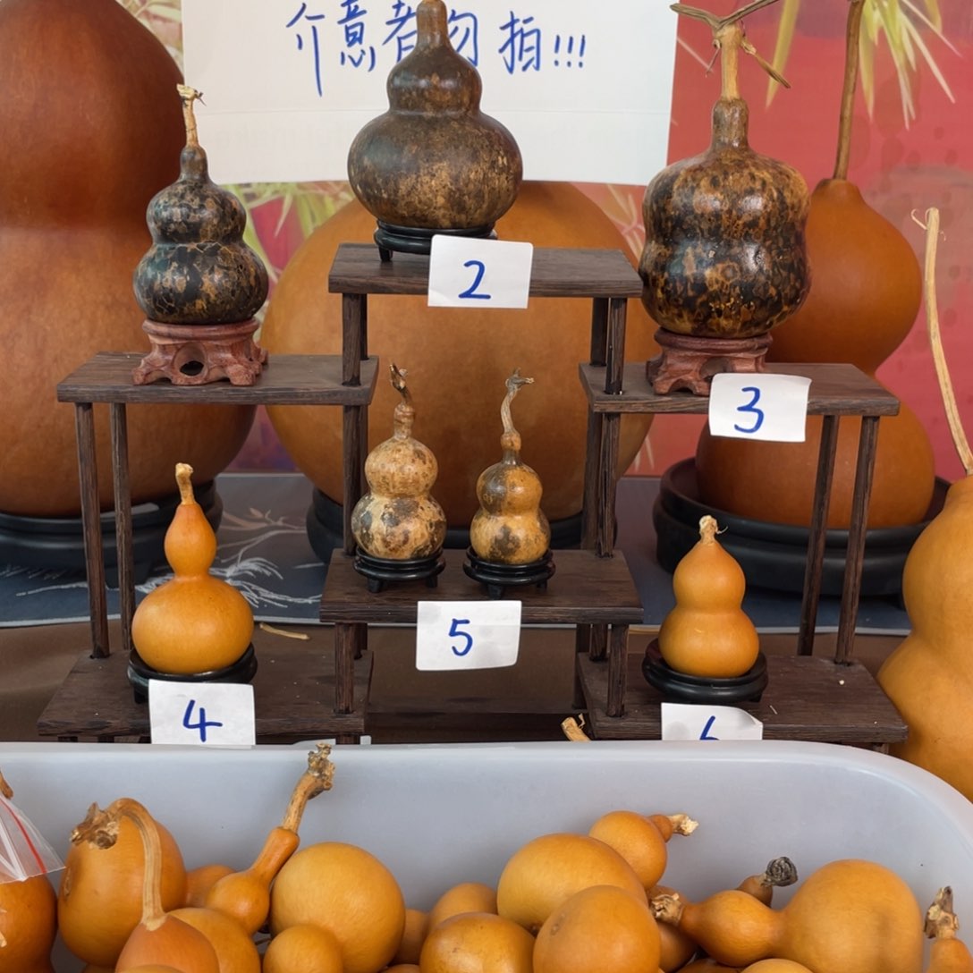 有机玻璃虾***3葫芦