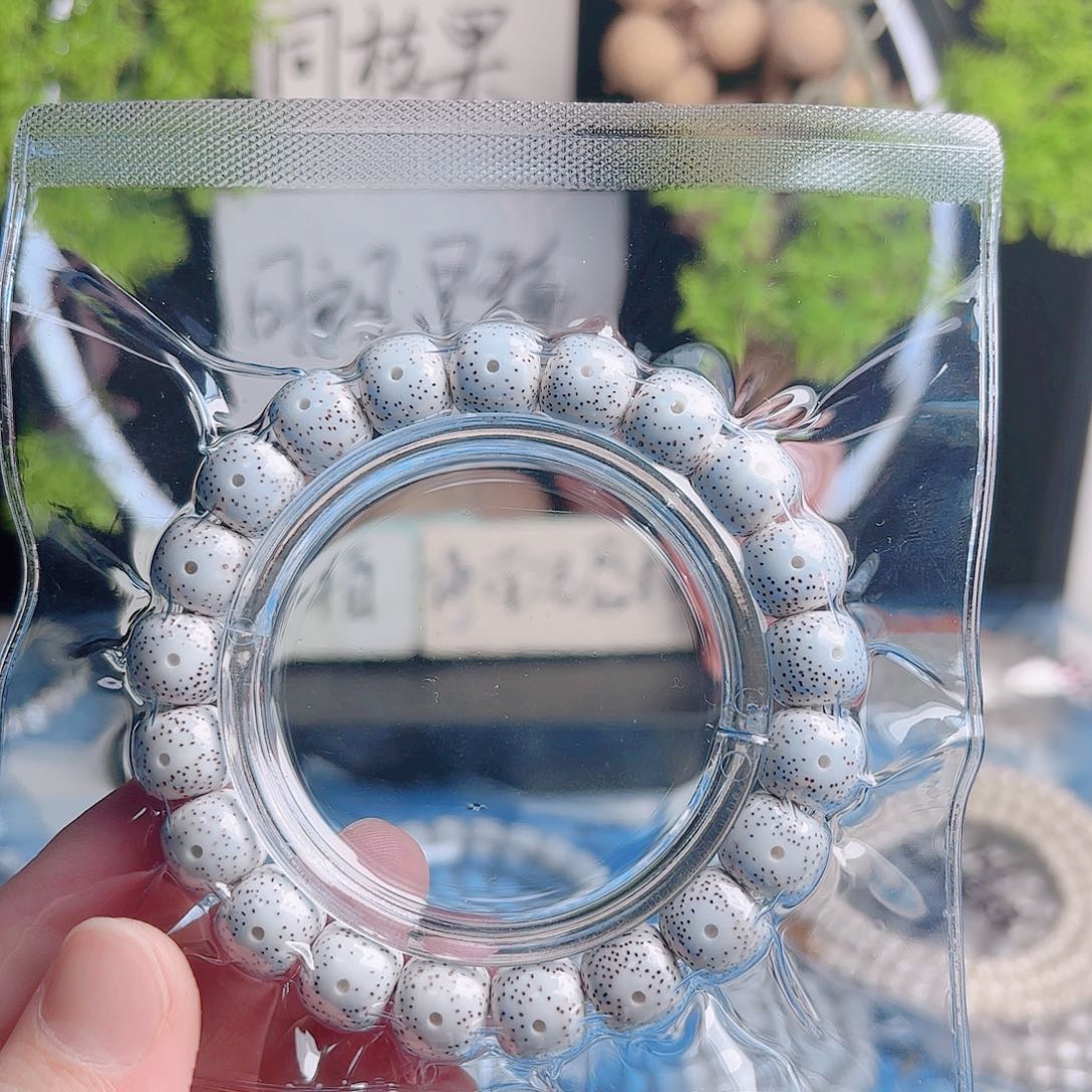 山***家把件星月菩提星月