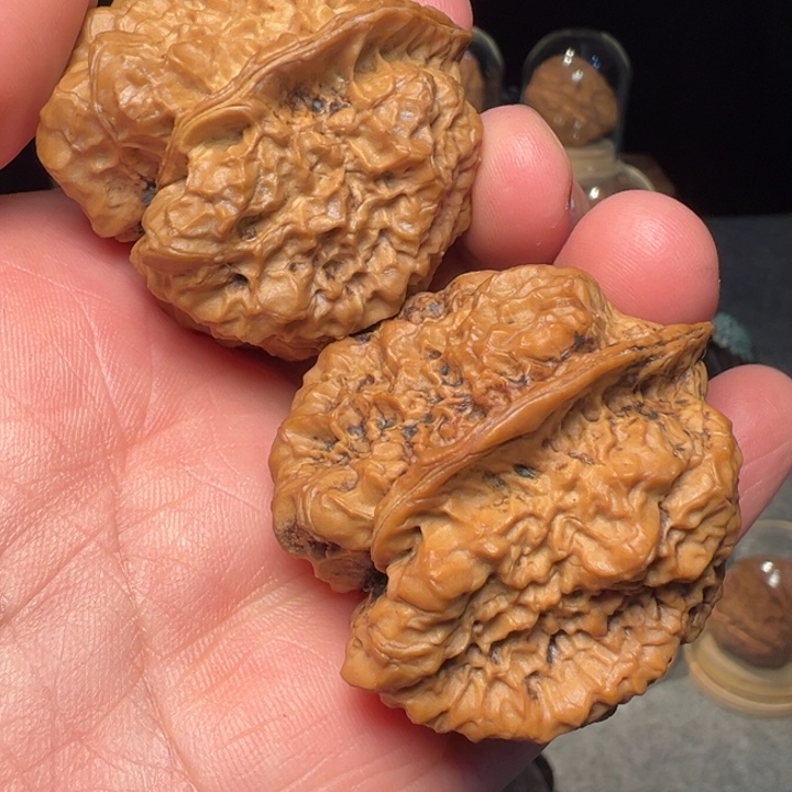 文玩核桃把件达摩古蟾43mm